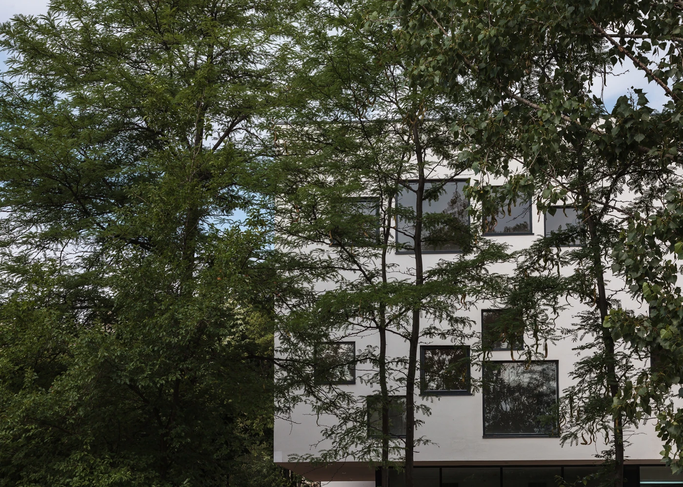 Extindere Liceu Dante Alighieri