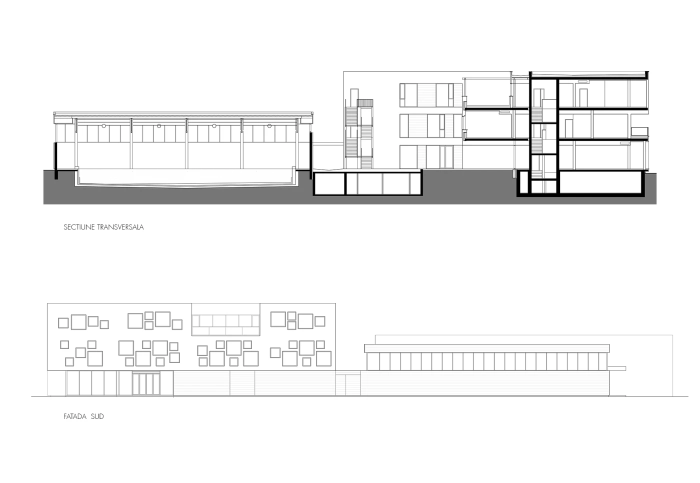 Extindere Liceu Dante Alighieri
